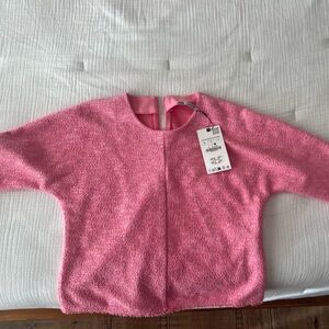 Nwt current Zara pink shirt